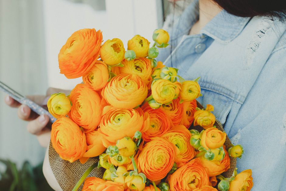 A person wearing a light blue denim shirt holds a large bouquet of vibrant orange and yellow ranunculus flowers, with some green buds and leaves, wrapped in brown paper. The flowers are fresh, with de