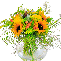 The first impression of this Epsom-crafted bouquet is one of jubilant abundance and glowing light, flourishing in a clear, rounded glass vase against a pristine white stage. Large sunflower heads beam confidently, their golden petals framing velvety dark centers that draw the eye like a field in full bloom near Epsom's Woodcote Green. Intermingled with these radiant sunflowers are tightly packed rosettes of yellow garden roses-their layers unfolding delicately, inviting the touch and scent of classic summer. Dotted throughout, glossy red hypericum berries add a lively sparkle and visual punctuation, reminiscent of berries found edging the footpaths of Horton Country Park. Feathery fronds of deep and light green sweep downward, echoing the untamed beauty of local ferns and adding dimensional texture. Wisps of pale green solidago or goldenrod, topped with minuscule yellow flowers, fill the gaps and lend a sense of wild spontaneity. Subtle eucalyptus leaves-dusty blue-green and softly aromatic-thread between the blooms, rooting the design with an understated rustic elegance. Clear water pools in the rounded vase, amplifying the rich green of the stems and underscoring the bouquet's freshness and vitality. Every element speaks of skilled, local florist hands and an appreciation for Epsom's verdant parks and lively markets. Joyful yet refined, this arrangement is perfect for commemorating birthdays, marking anniversaries, or simply radiating happiness and connection within an Epsom home, making every occasion feel as bright as a summer's day.